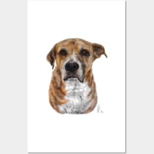 Looking Suave Handsome Pup Posters and Art